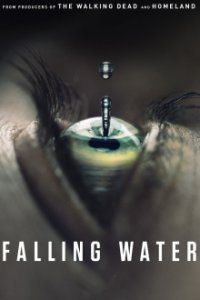Cover Falling Water, Poster Falling Water