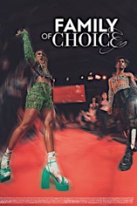 Family of Choice Cover, Online, Poster