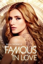 Cover Famous in Love, Poster, Stream