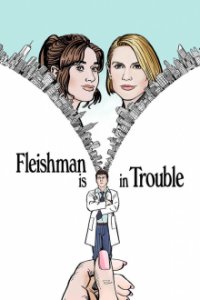 Fleishman Is in Trouble Cover, Poster, Blu-ray,  Bild