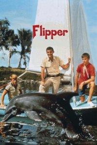 Cover Flipper, Poster