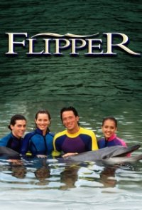 Cover Flippers neue Abenteuer, Poster