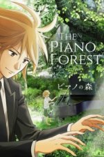 Cover Forest of Piano, Poster, Stream