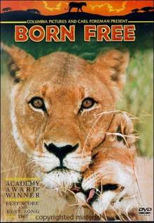 Frei geboren – Königin der Wildnis Cover, Poster, Frei geboren – Königin der Wildnis DVD