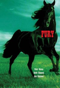 Fury - Die Abenteuer eines Pferdes Cover, Poster, Fury - Die Abenteuer eines Pferdes