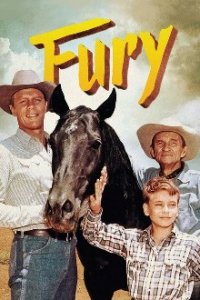 Poster, Fury - Die Abenteuer eines Pferdes Serien Cover