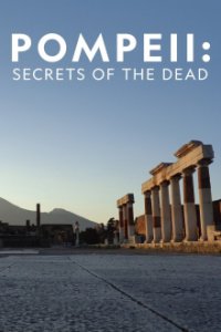 Geheimnisvolle Tote Cover, Poster, Geheimnisvolle Tote
