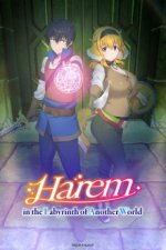 Cover Harem in the Labyrinth of Another World, Poster, Stream