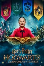 Cover Harry Potter: Hogwarts Tournament of Houses, Poster, Stream