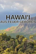 Cover Hawai’i: Aus Feuer geboren, Poster, Stream