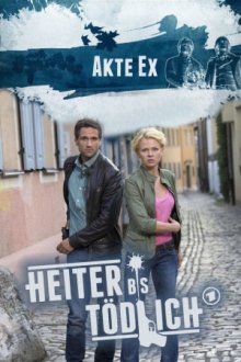 Heiter bis tödlich: Akte Ex Cover, Online, Poster