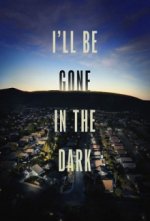 Cover I'll Be Gone in the Dark, Poster, Stream