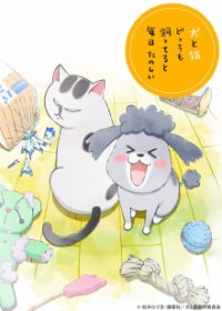 Inu to Neko Docchi mo Katteru to Mainichi Tanoshii Cover, Poster, Blu-ray,  Bild