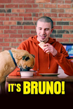 Cover It's Bruno!, Poster, Stream