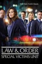 Cover Law & Order: Special Victims Unit, Poster Law & Order: Special Victims Unit