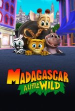 Cover Madagascar: A Little Wild, Poster, Stream