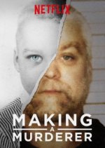 Cover Making a Murderer, Poster, Stream