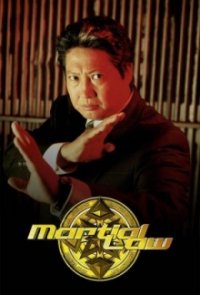 Martial Law – Der Karate-Cop Cover, Poster, Blu-ray,  Bild