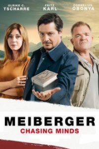 Cover Meiberger - Im Kopf des Täters, Poster