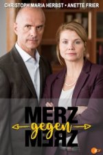Cover Merz gegen Merz, Poster, Stream