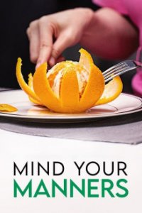 Cover Mind Your Manners, TV-Serie, Poster