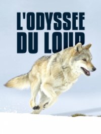 Cover Mit den Augen des Wolfes – Auf Streifzug durch Europa, Poster