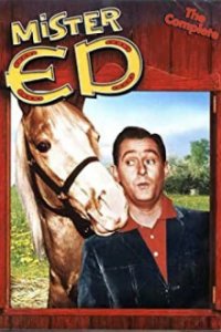 Mr. Ed Cover, Poster, Blu-ray,  Bild