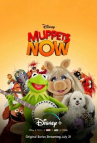 Cover Und jetzt: Die Muppets, Poster