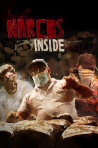 Cover Narcos Inside – Die Macht der Kartelle, TV-Serie, Poster