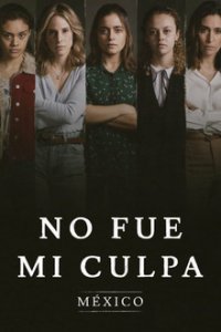 Nicht meine Schuld: Mexiko Cover, Poster, Blu-ray,  Bild