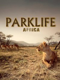 Cover Parklife: Afrika, Poster