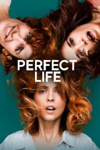 Perfect Life Cover, Online, Poster