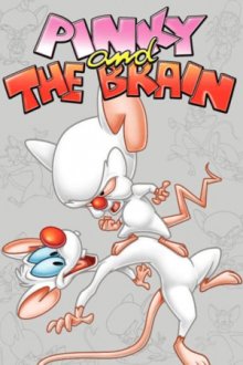 Pinky & der Brain Cover, Online, Poster