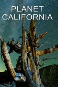 Planet California Cover, Poster, Blu-ray,  Bild