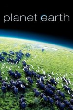 Cover Planet Erde, Poster, Stream
