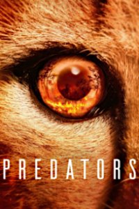 Cover Predators - Jäger in Gefahr, Poster