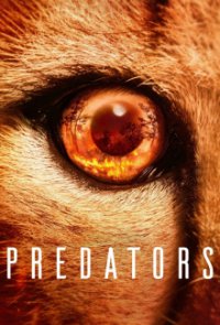 Predators - Jäger in Gefahr Cover, Stream, TV-Serie Predators - Jäger in Gefahr