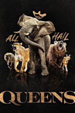 Cover Queens - Königinnen des Tierreichs, Poster, Stream