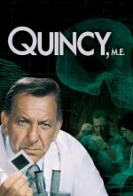 Cover Quincy, Poster, Stream