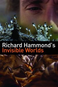 Richard Hammonds unsichtbare Welten Cover, Poster, Blu-ray,  Bild