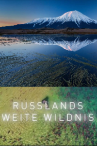 Russlands weite Wildnis Cover, Poster, Russlands weite Wildnis
