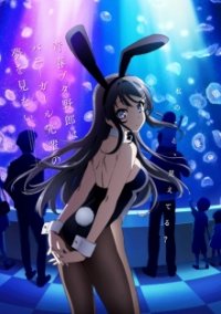 Seishun Buta Yarou wa Bunny Girl Senpai no Yume o Minai Cover, Poster, Blu-ray,  Bild