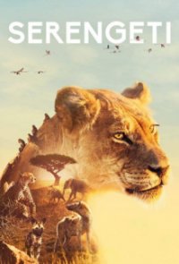 Serengeti Cover, Online, Poster