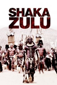 Shaka Zulu Cover, Online, Poster