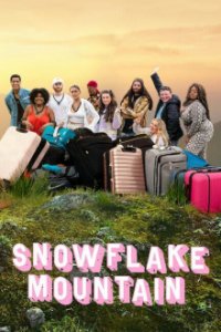 Snowflake Mountain Cover, Online, Poster