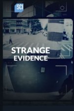 Cover Strange Evidence, Poster, Stream