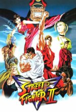 Cover Street Fighter II V, Poster, Stream