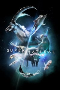 Super/Natural Cover, Online, Poster