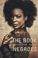 Cover The Book of Negroes, Poster, Stream