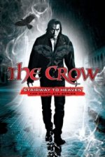 Cover The Crow, Poster, Stream